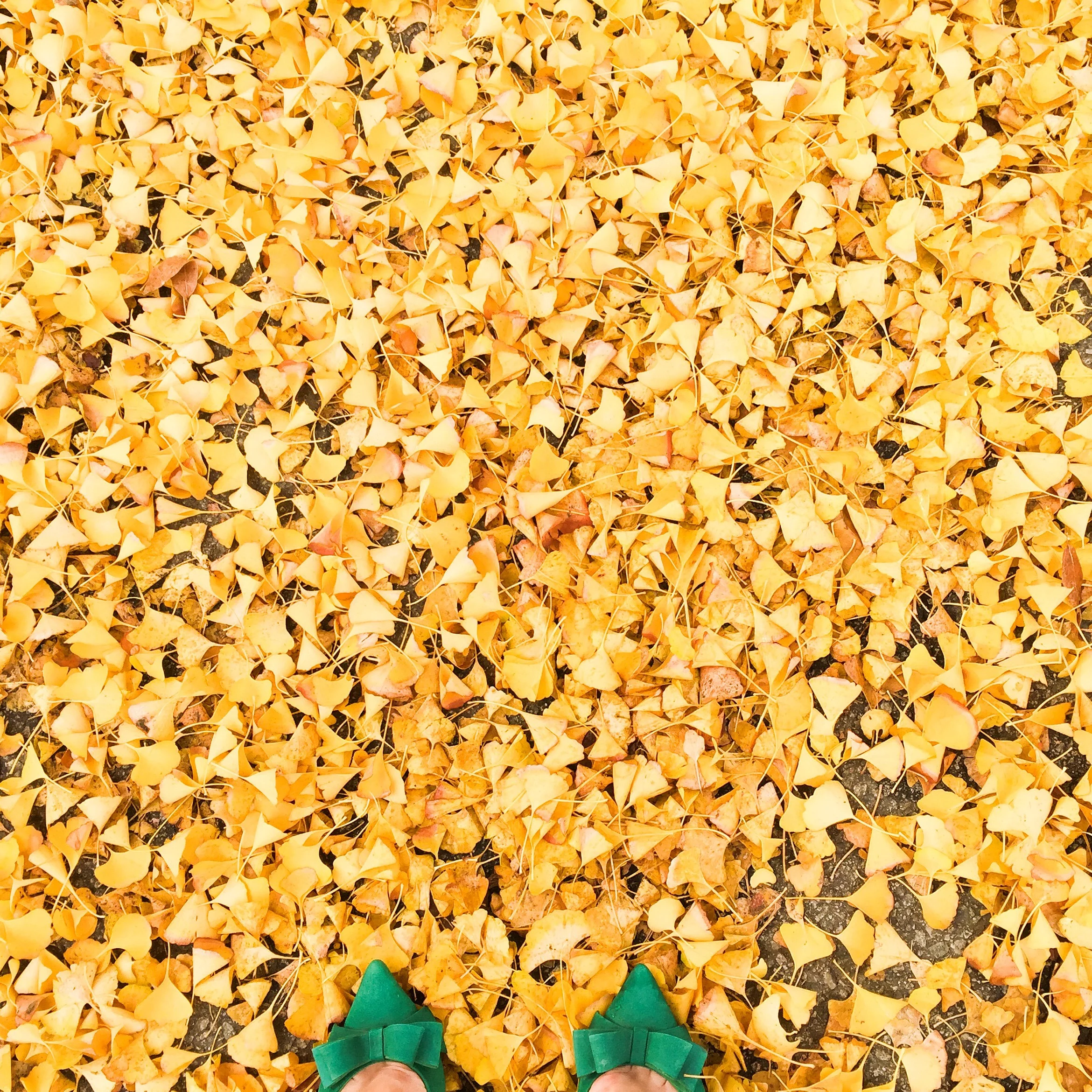 photography: lifestyle