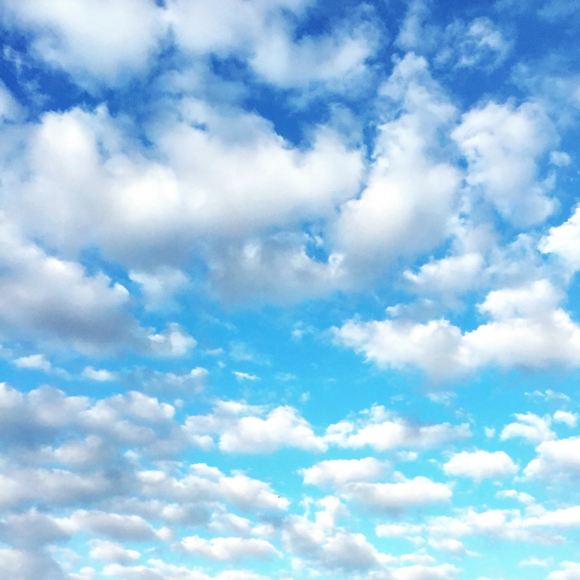 photography: lifestyle