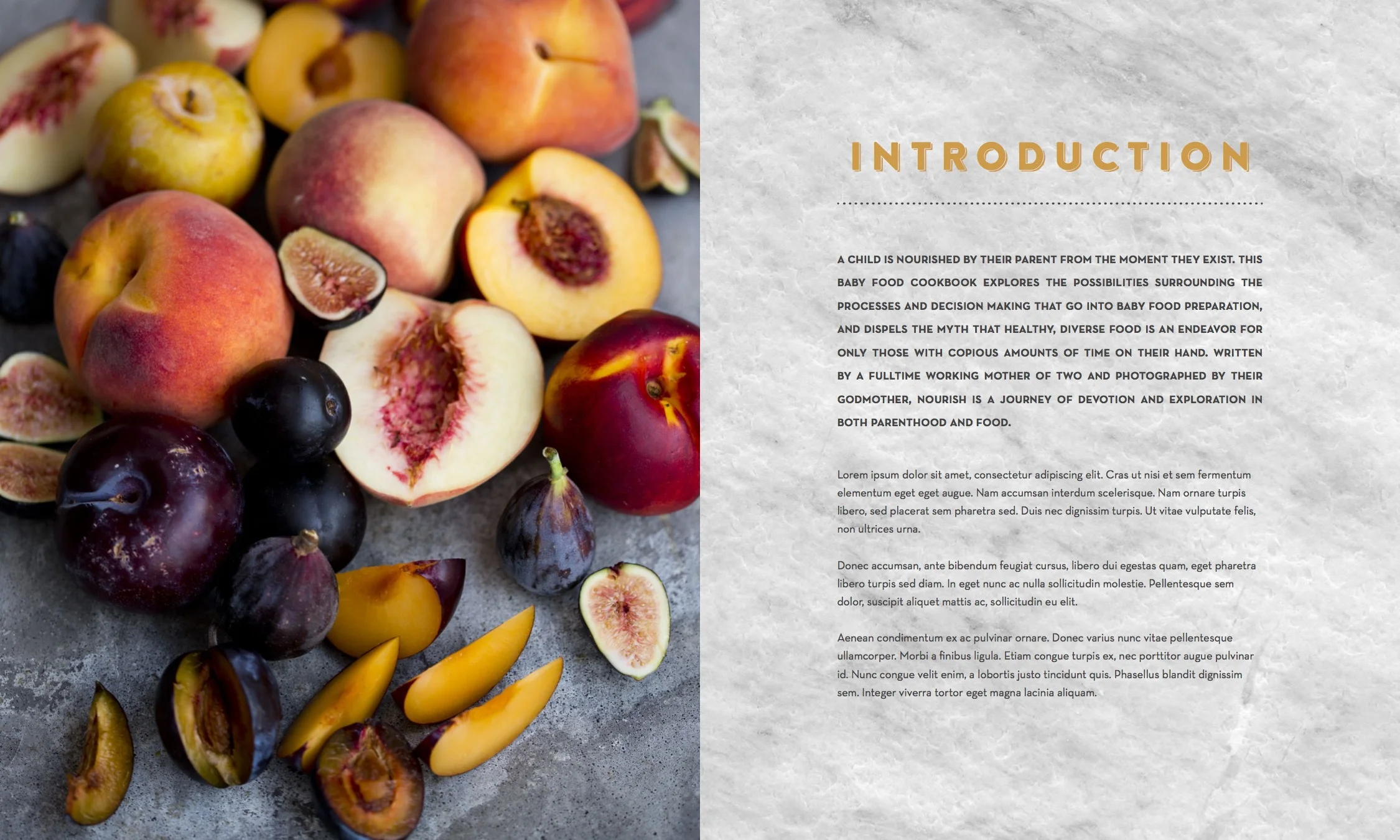 book: nourish cookbook