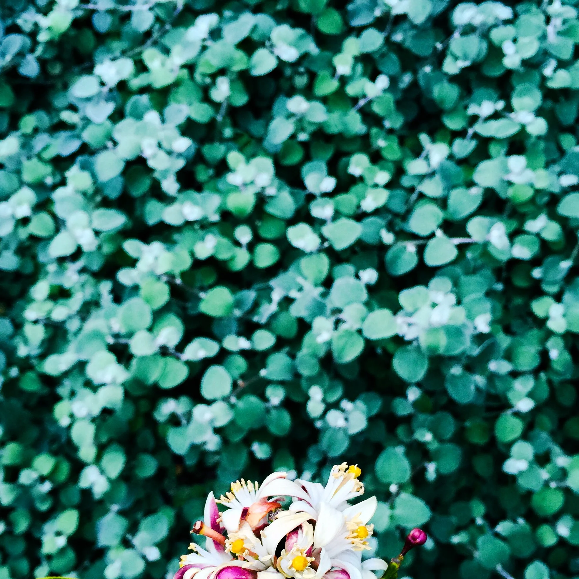 photography: outside