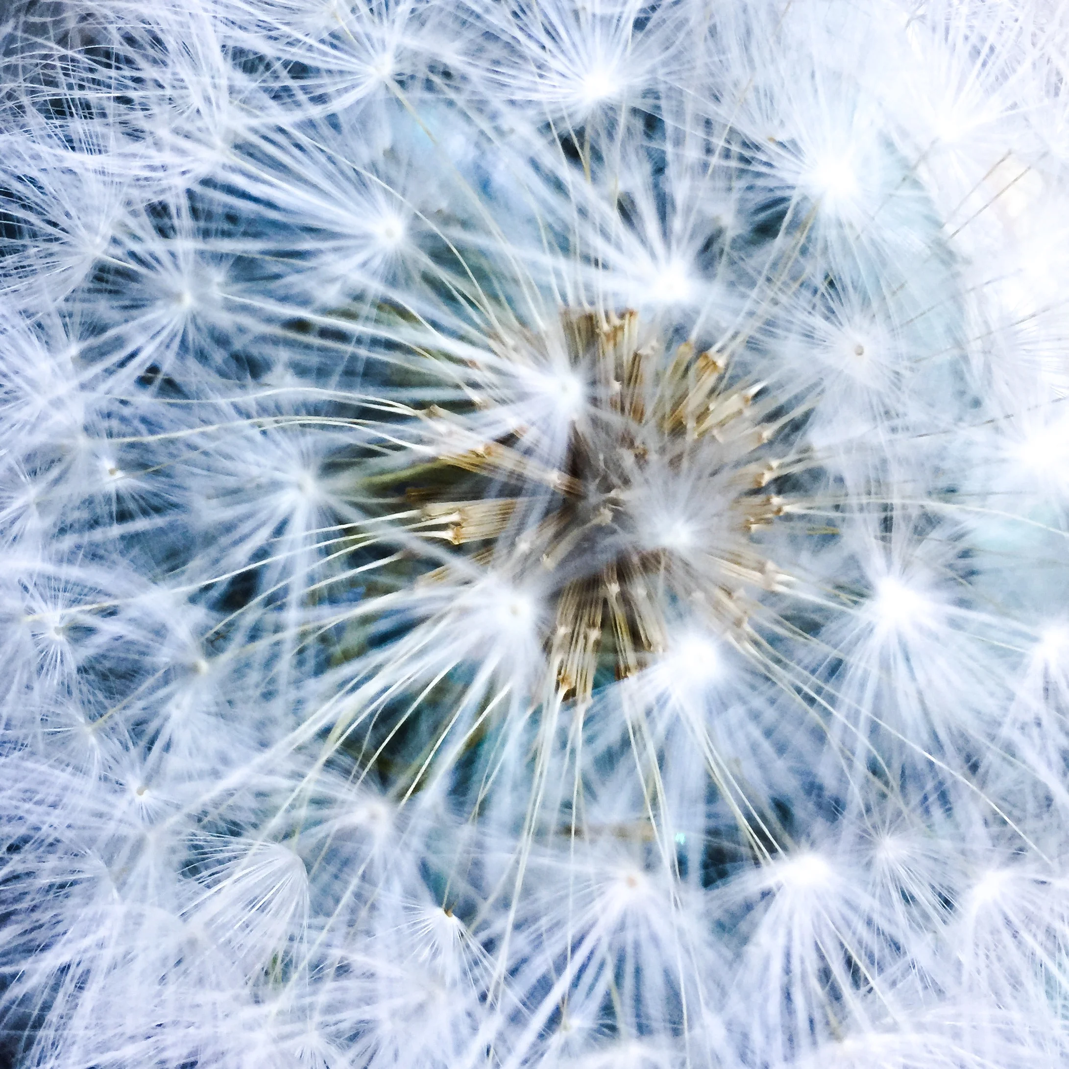 photography: outside