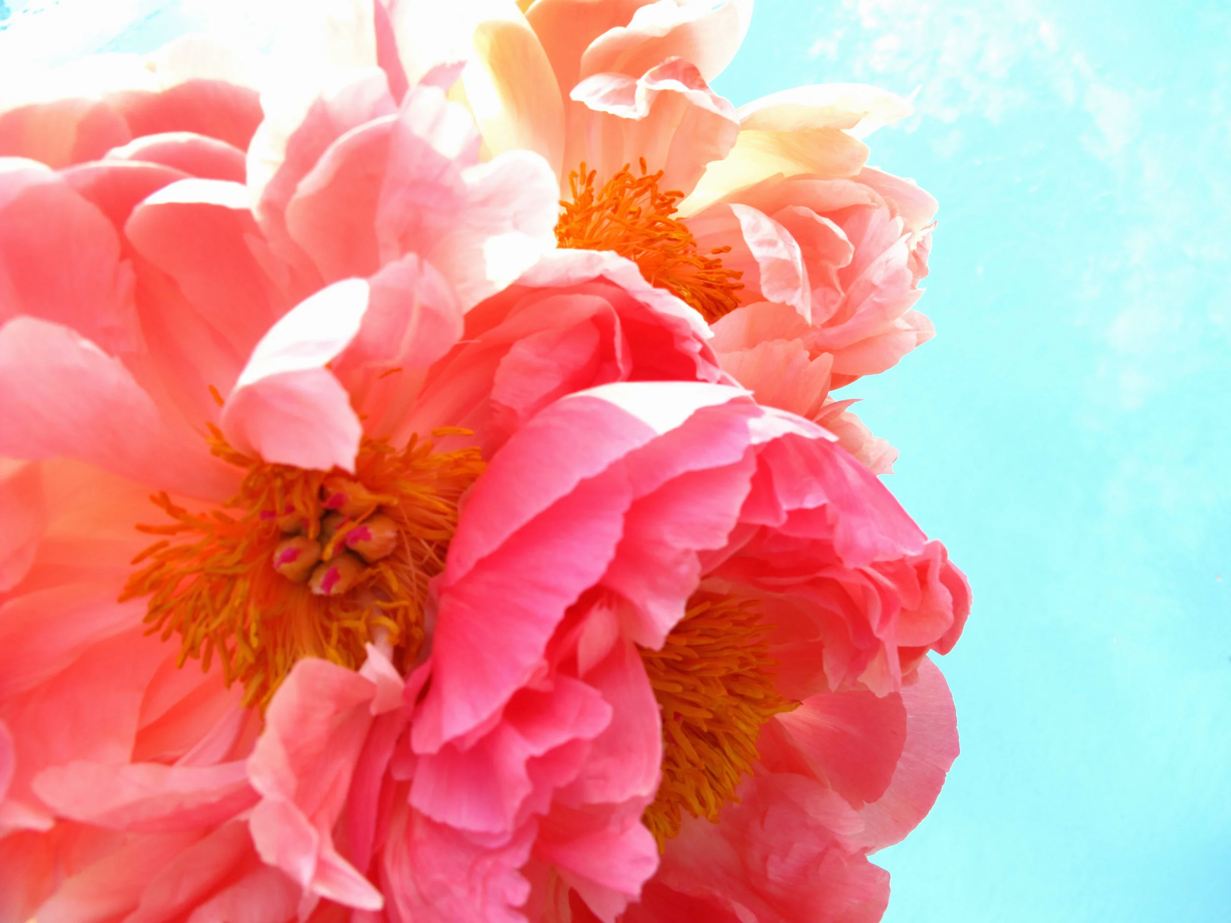 photography: outside