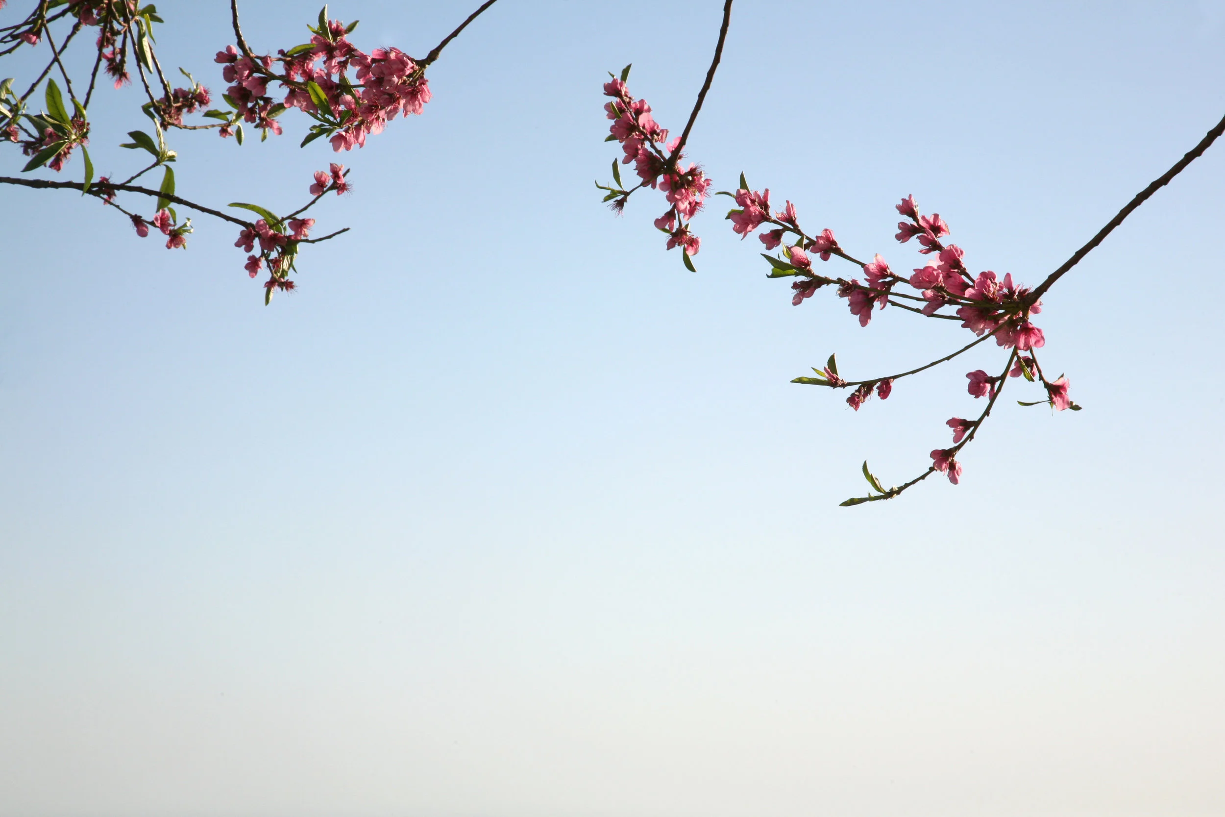 photography: outside