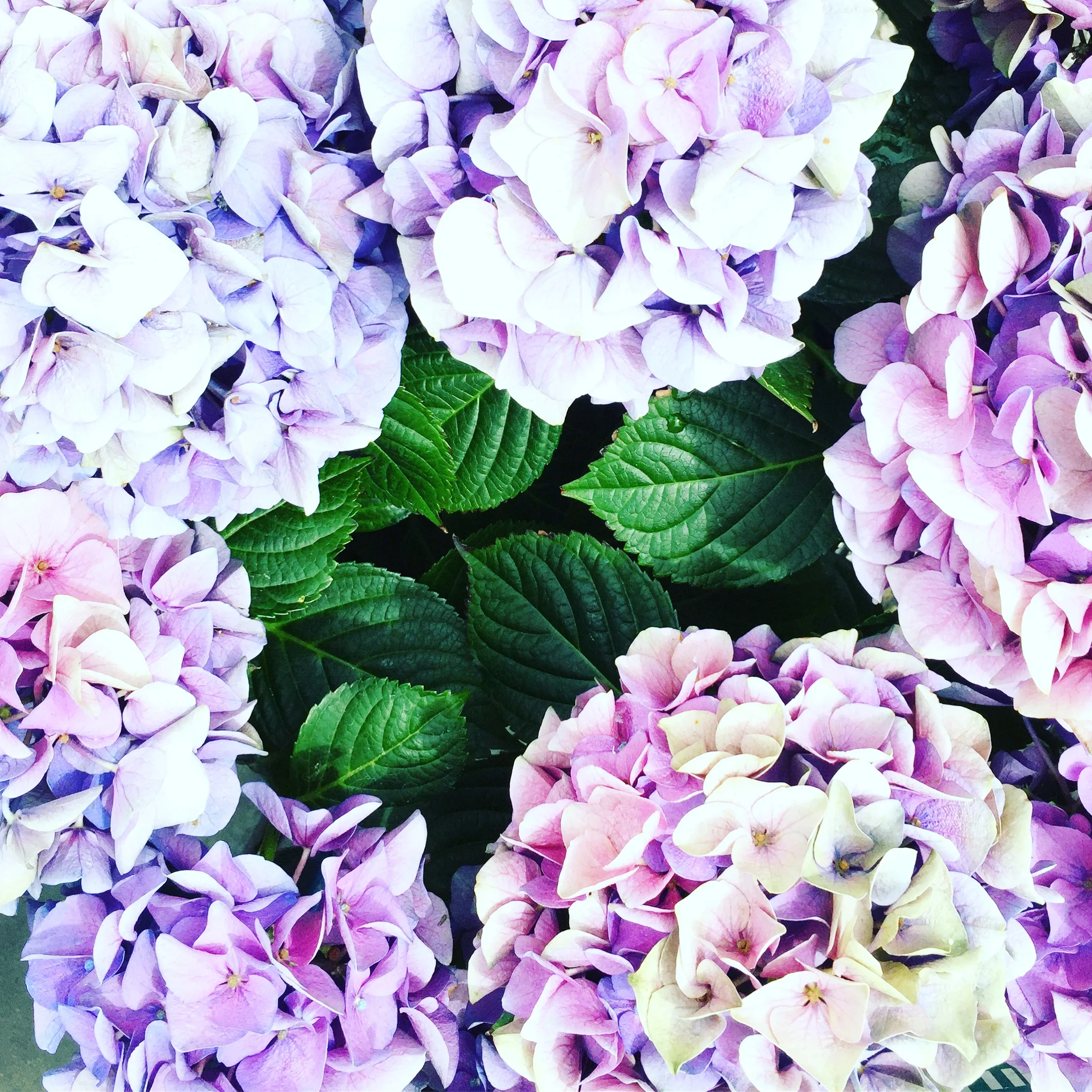 photography: outside