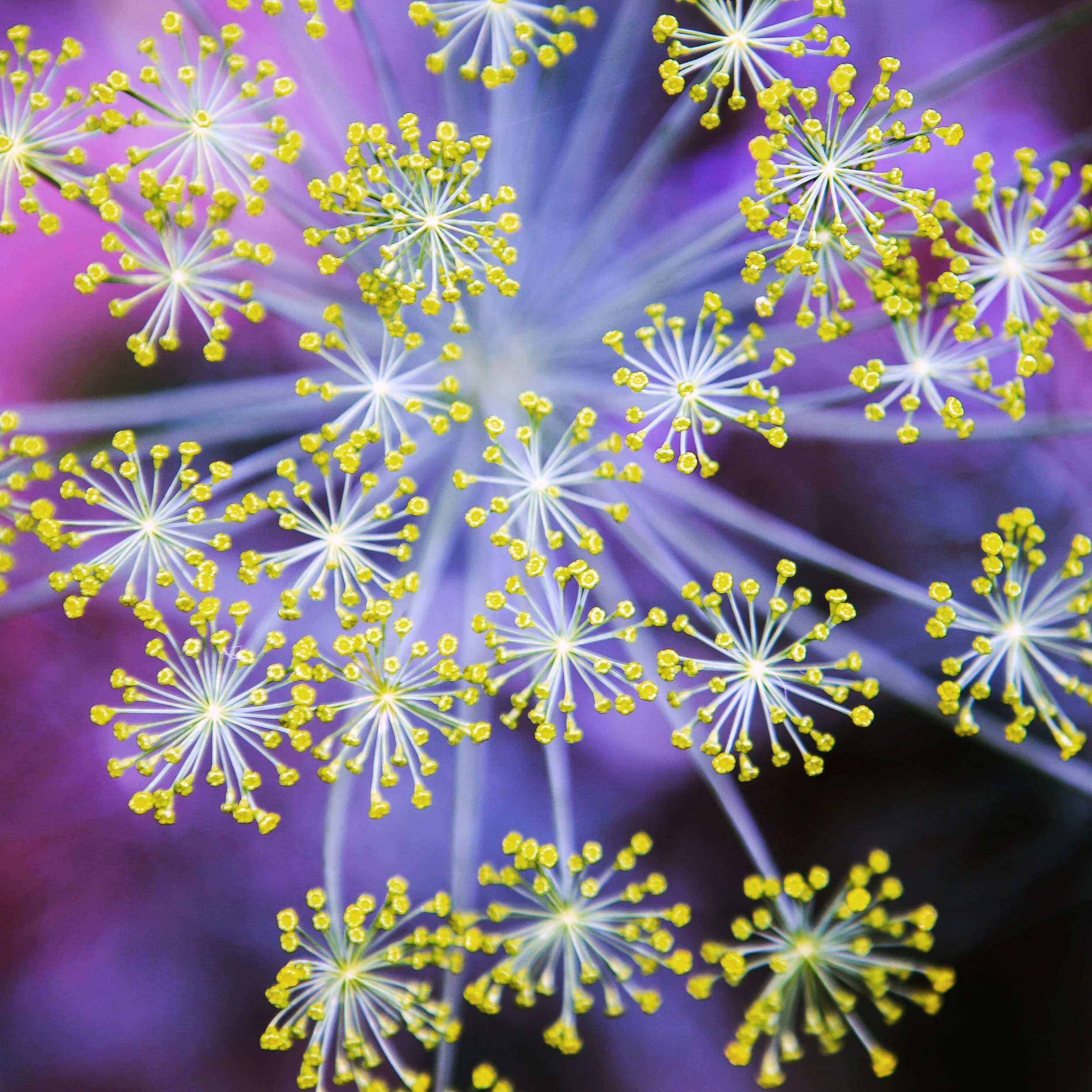 photography: outside