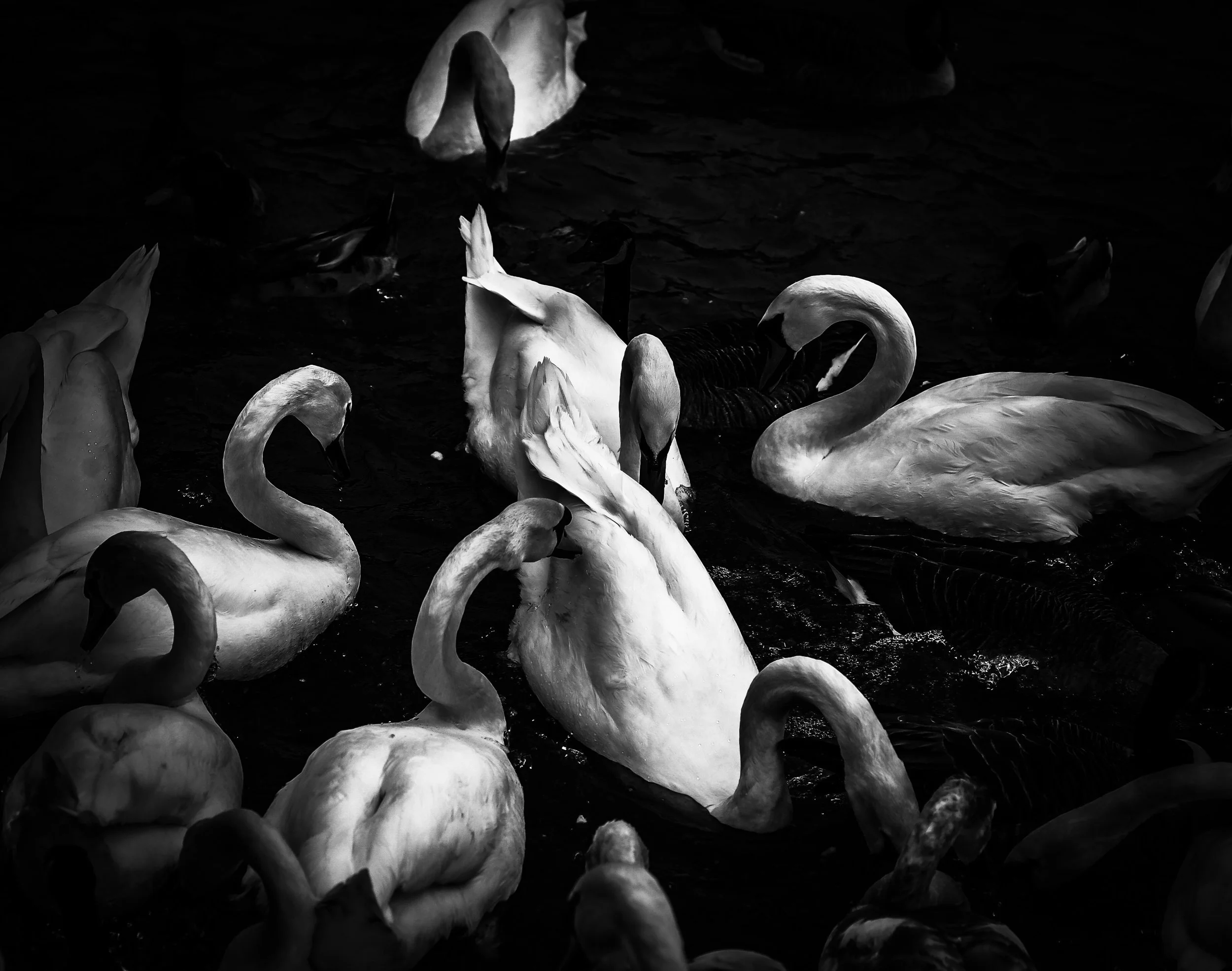 photography: outside