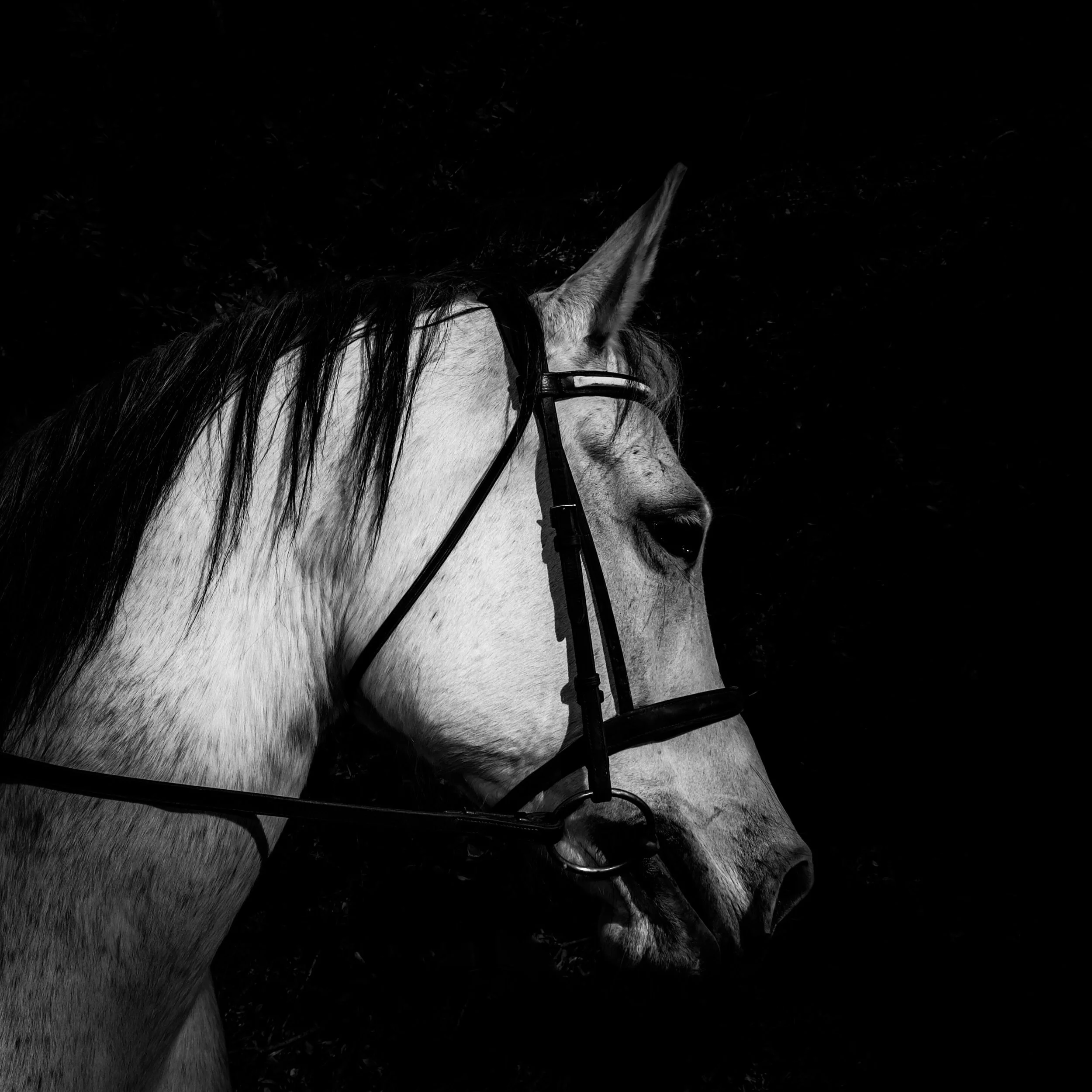 photography: outside