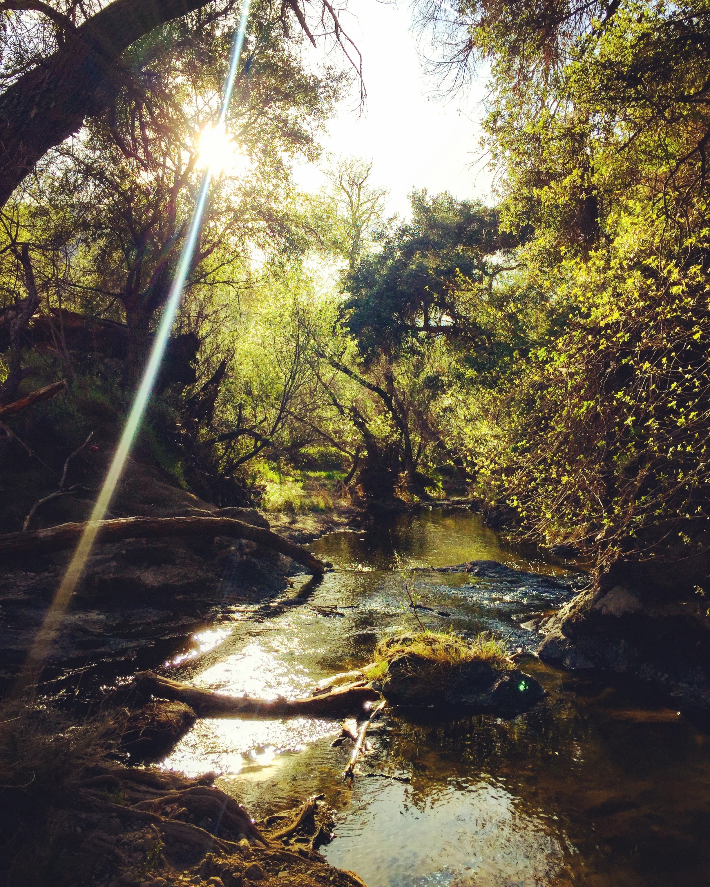 photography: outside