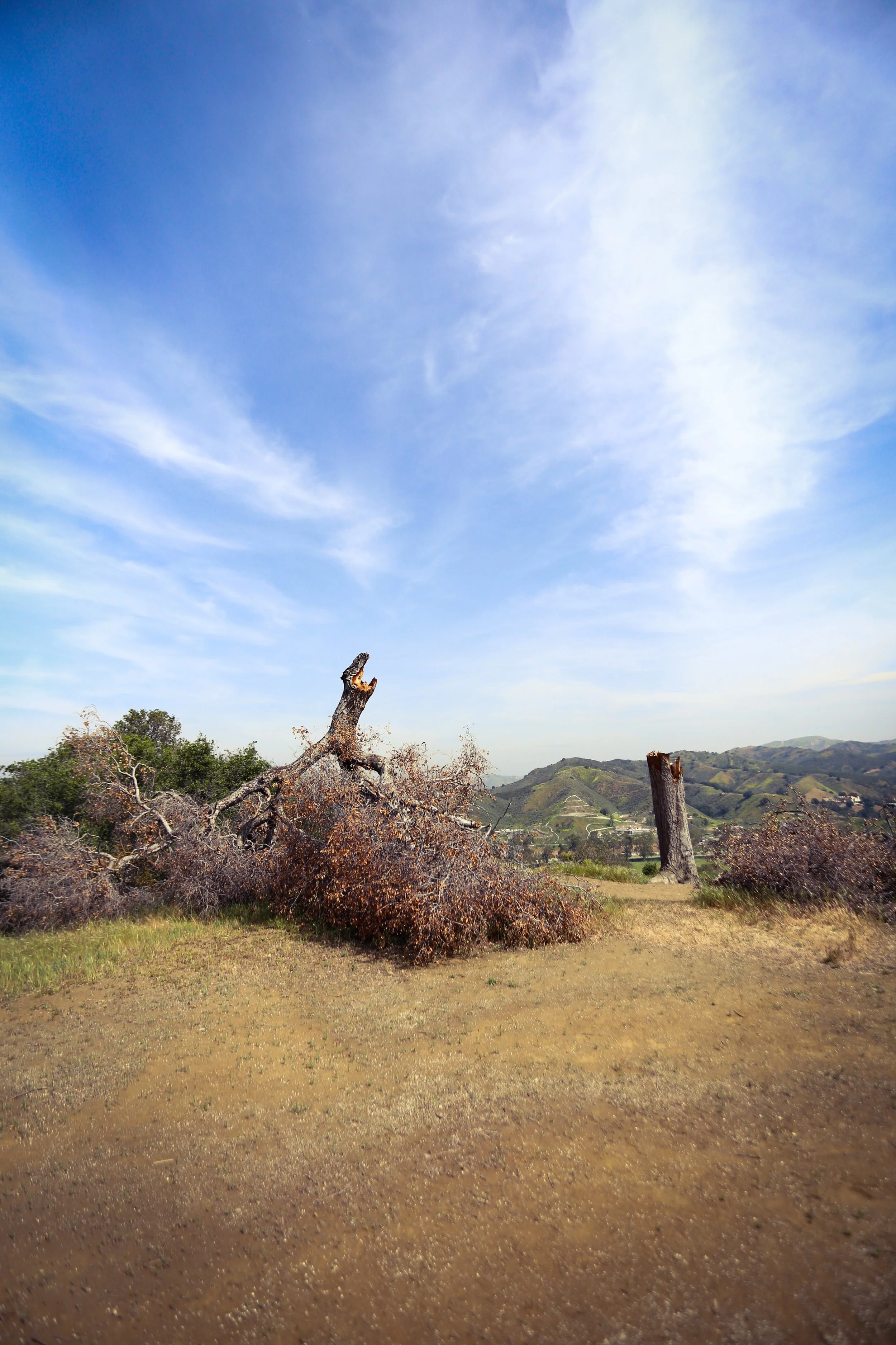 photography: outside