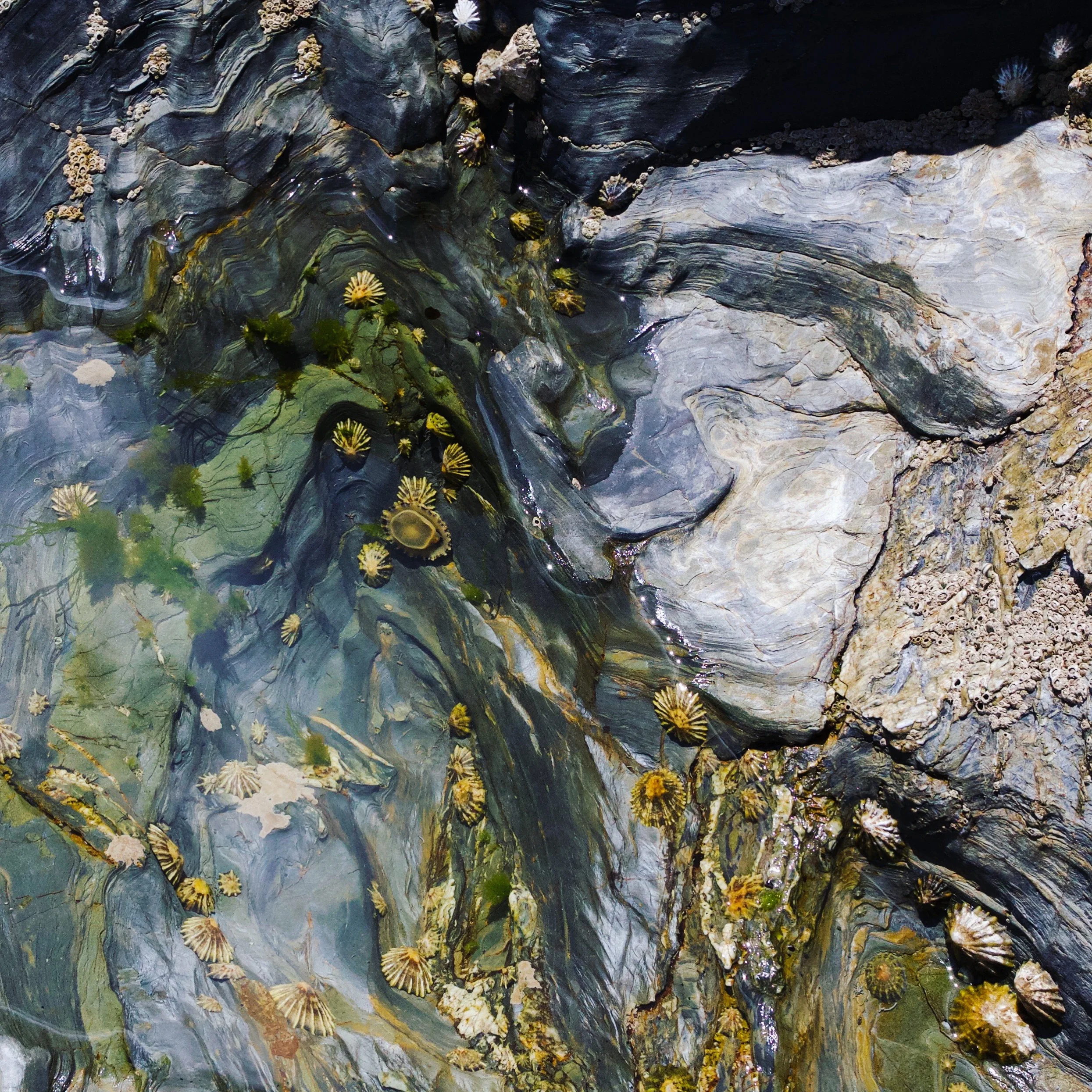 photography: outside