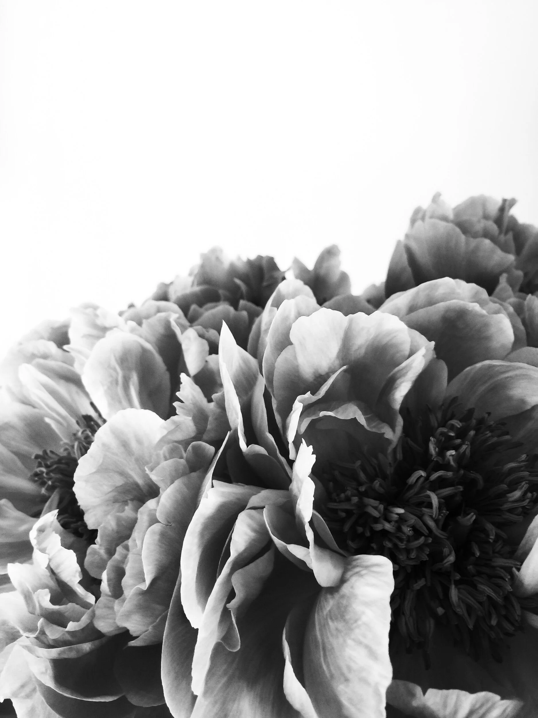 photography: outside