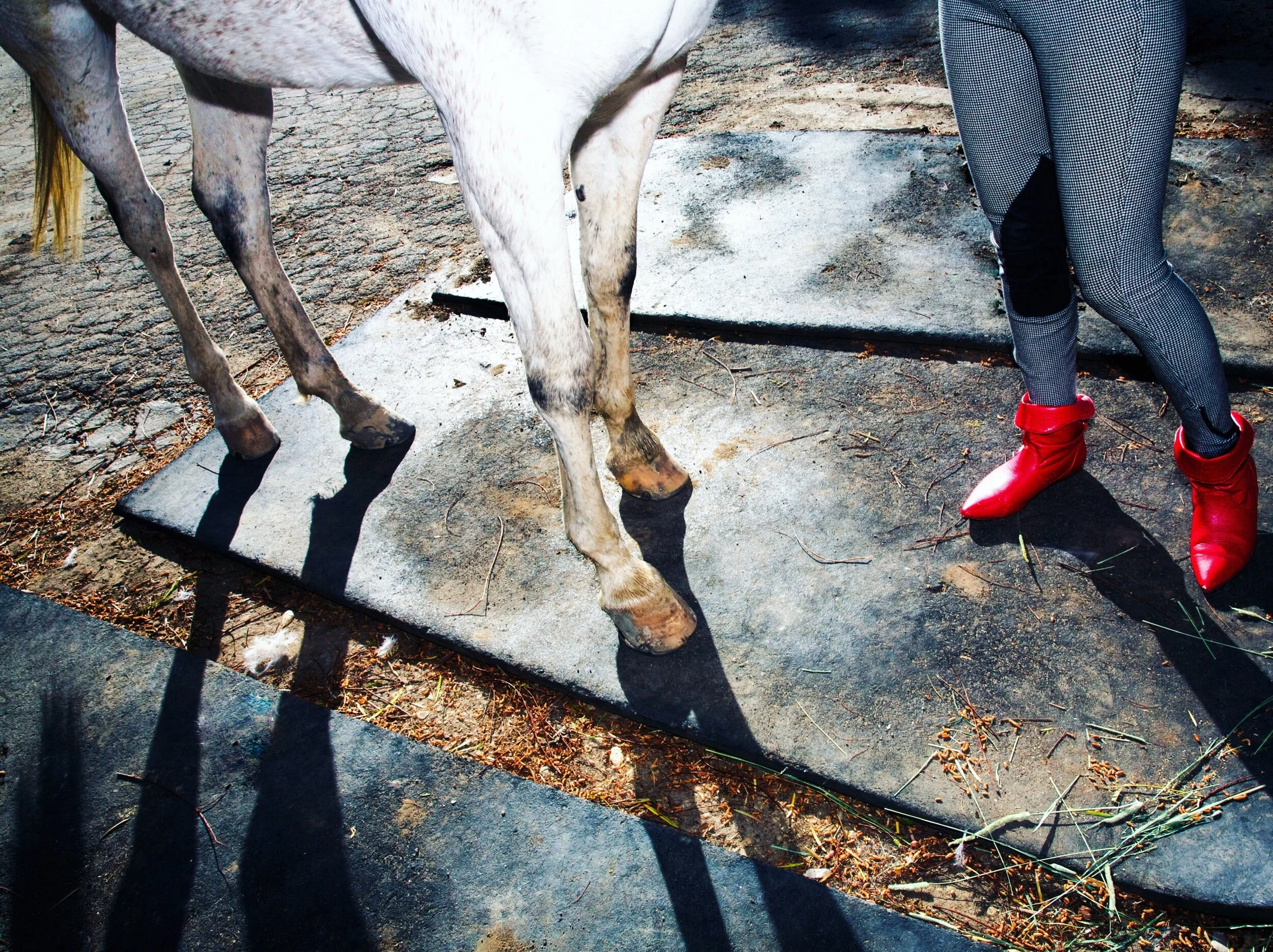 photography: narratives